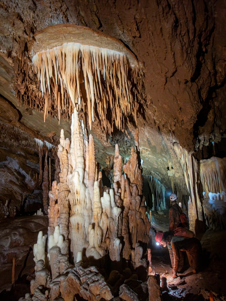A Cave shield as a base for cave speleothems. Photo: Katarina Kosič Ficco